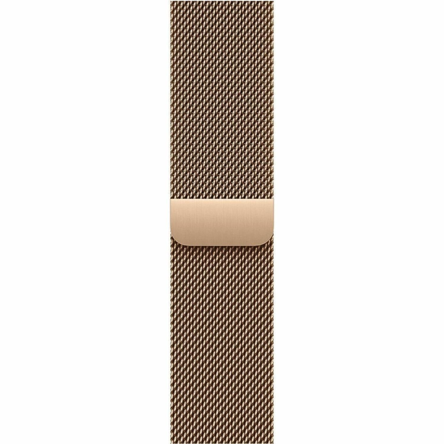 Apple Adjustable Smartwatch Band