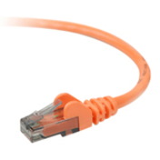 Belkin Cat.6 Cable