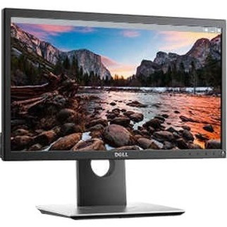 Dell P2017H HD+ LCD Monitor - 16:9 - Black