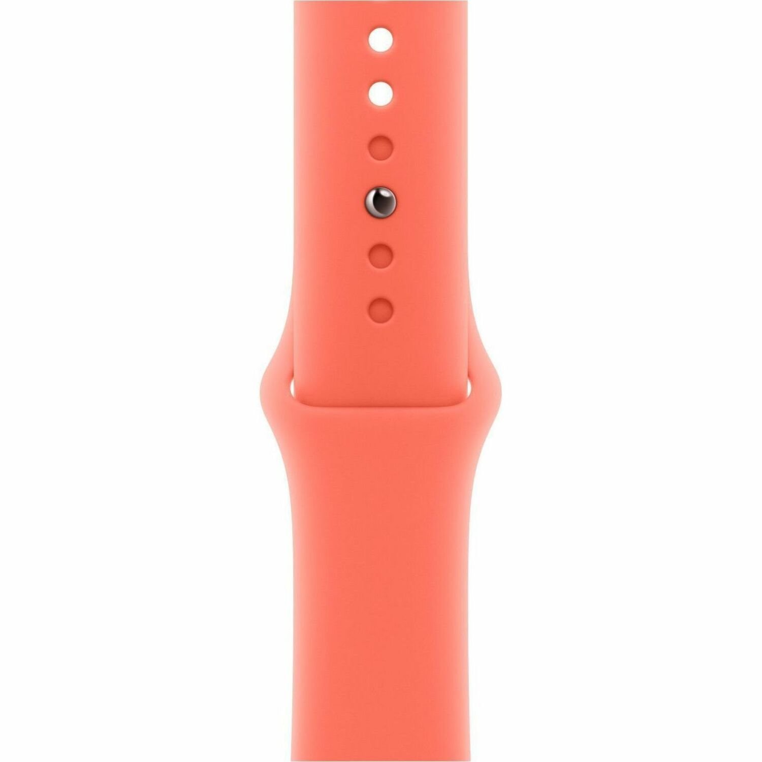 Apple Adjustable Smartwatch Band