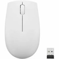 Lenovo 300 Wireless Compact Mouse (Cloud Grey) with Battery