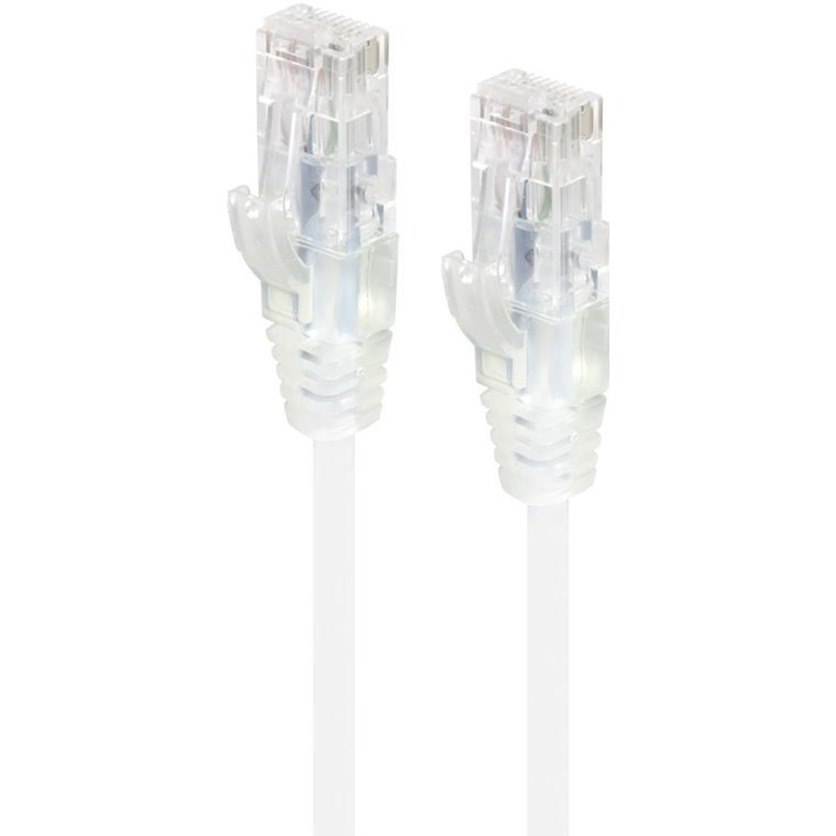 Alogic Alpha 2 m Category 6 Network Cable for Network Device