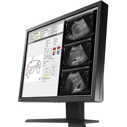 EIZO RadiForce MX194 SXGA LCD Monitor - 5:4 - Black