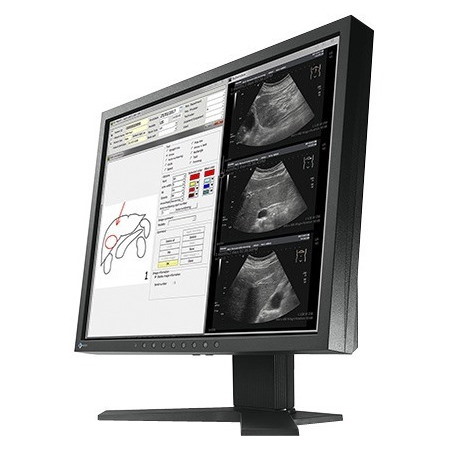 EIZO RadiForce MX194 19" Class SXGA LCD Monitor - 5:4 - Black