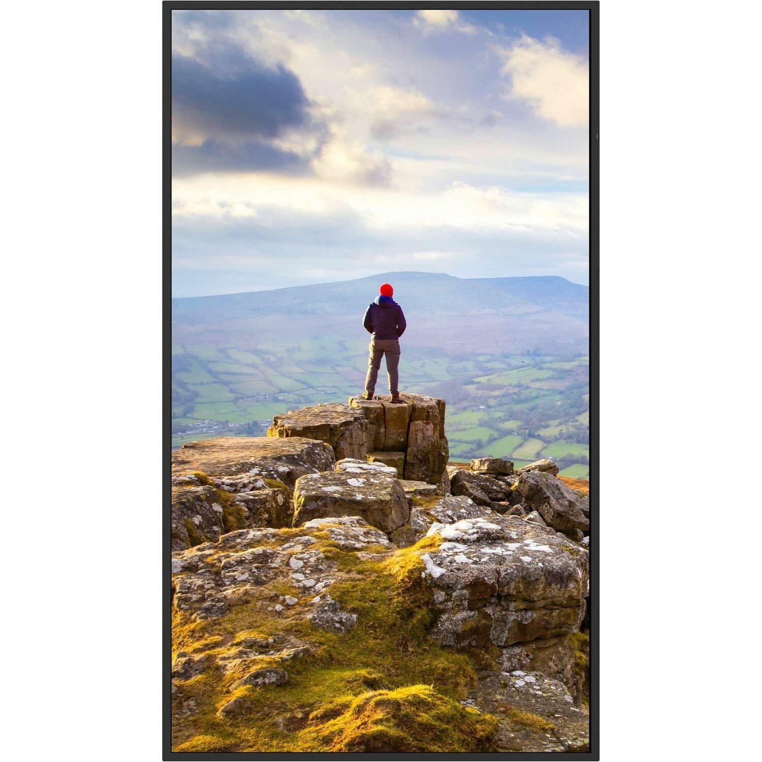 Sharp PN-E559 55" 4K UHD Professional Display