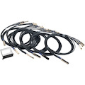 Tripp Lite by Eaton 12-Port SFP+ 10GbE Pass-through Cassette with six QSFP+ to 4xSFP+ Breakout Cables