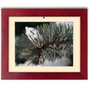 Polaroid XSU-01030E 26.4 cm (10.4") LCD Digital Frame - 640 x 480