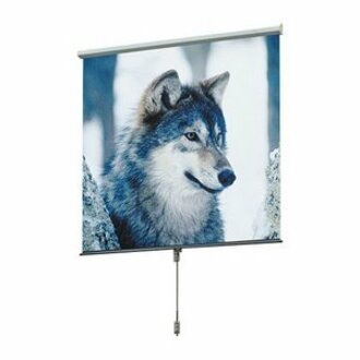 Draper Luma Manual Wall and Ceiling Projection Screen