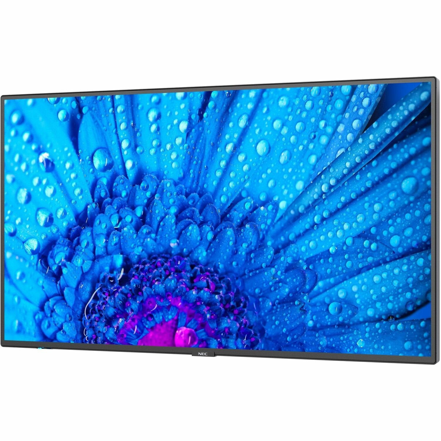 Sharp NEC Display 98" Ultra High Definition Professional Display