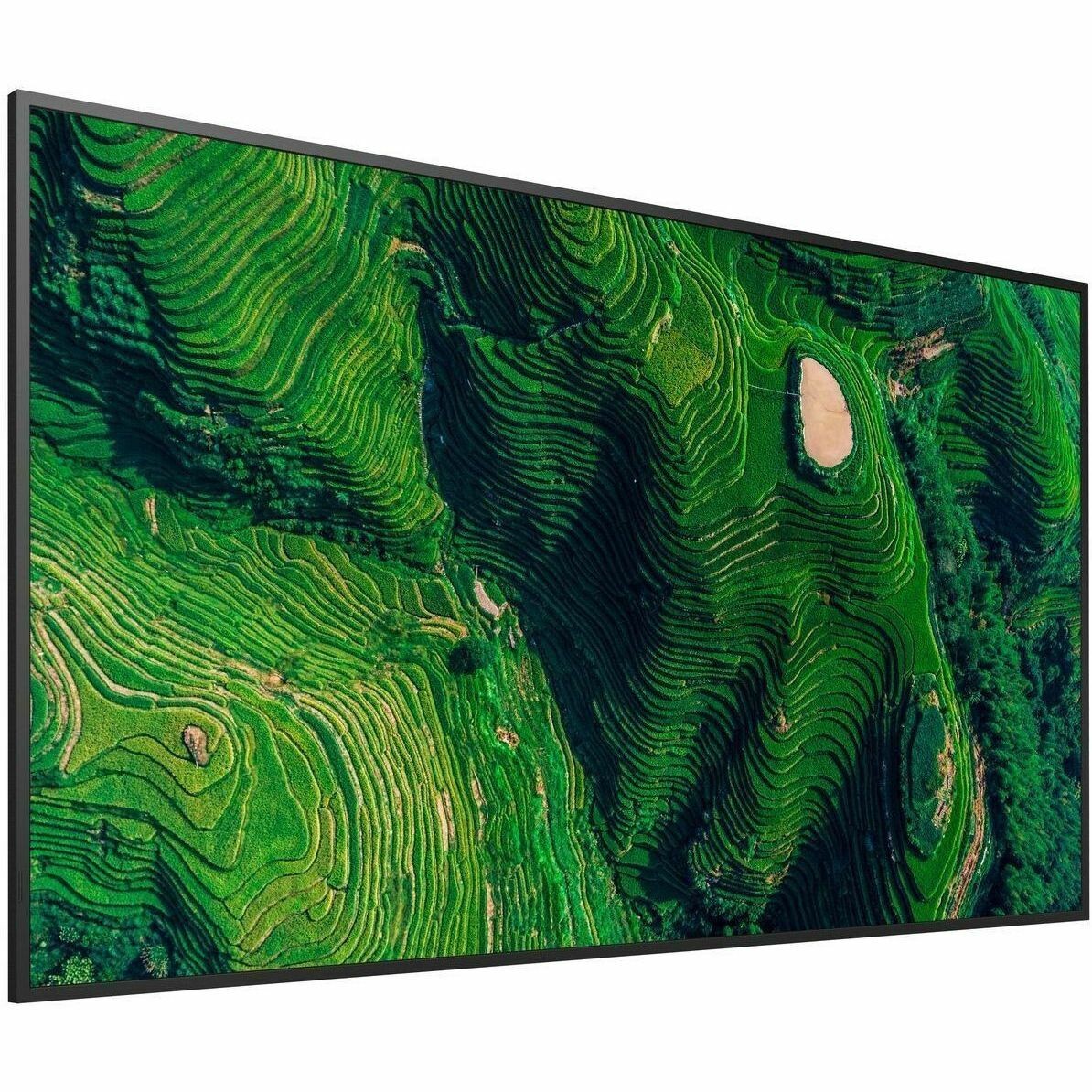 Sony Pro BRAVIA FW-75BZ35P Digital Signage Display