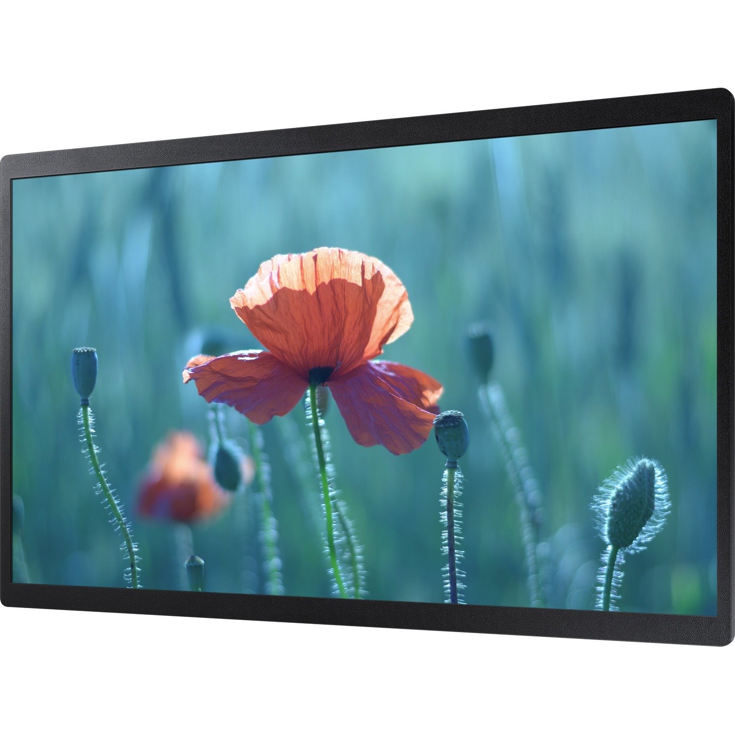 Samsung QB24R-B 23.8" LCD Digital Signage Display - 16 Hours/ 7 Days Operation