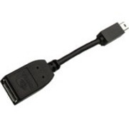 PNY DisplayPort/Mini DisplayPort A/V Cable - 1