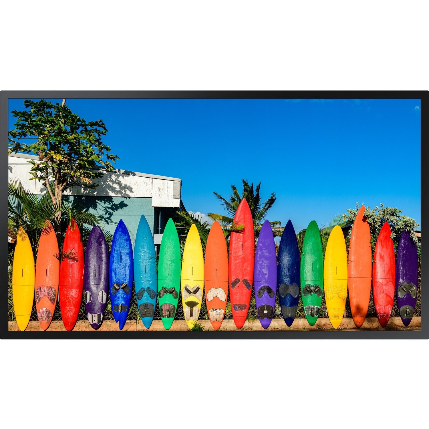 Samsung OM55B Digital Signage Display