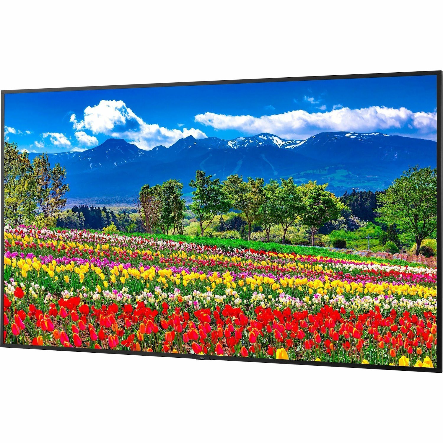 Sharp NEC Display 75" Ultra High Definition Professional Display