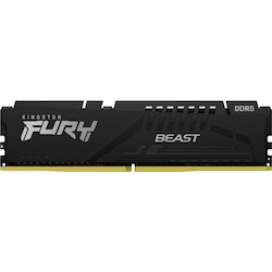 Kingston FURY Beast DDR5 Memory