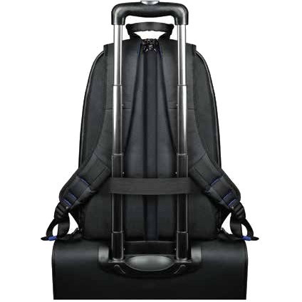Port CHICAGO EVO Carrying Case (Backpack) for 39.6 cm (15.6") Notebook
