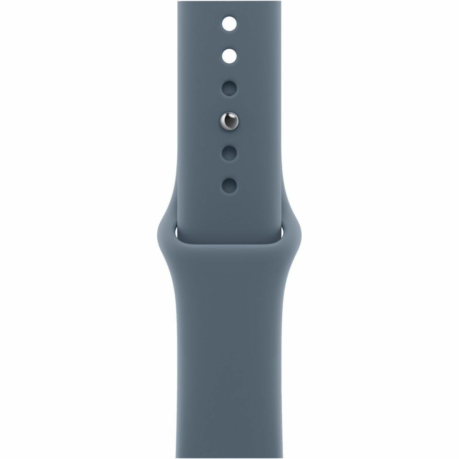 Apple Adjustable Smartwatch Band