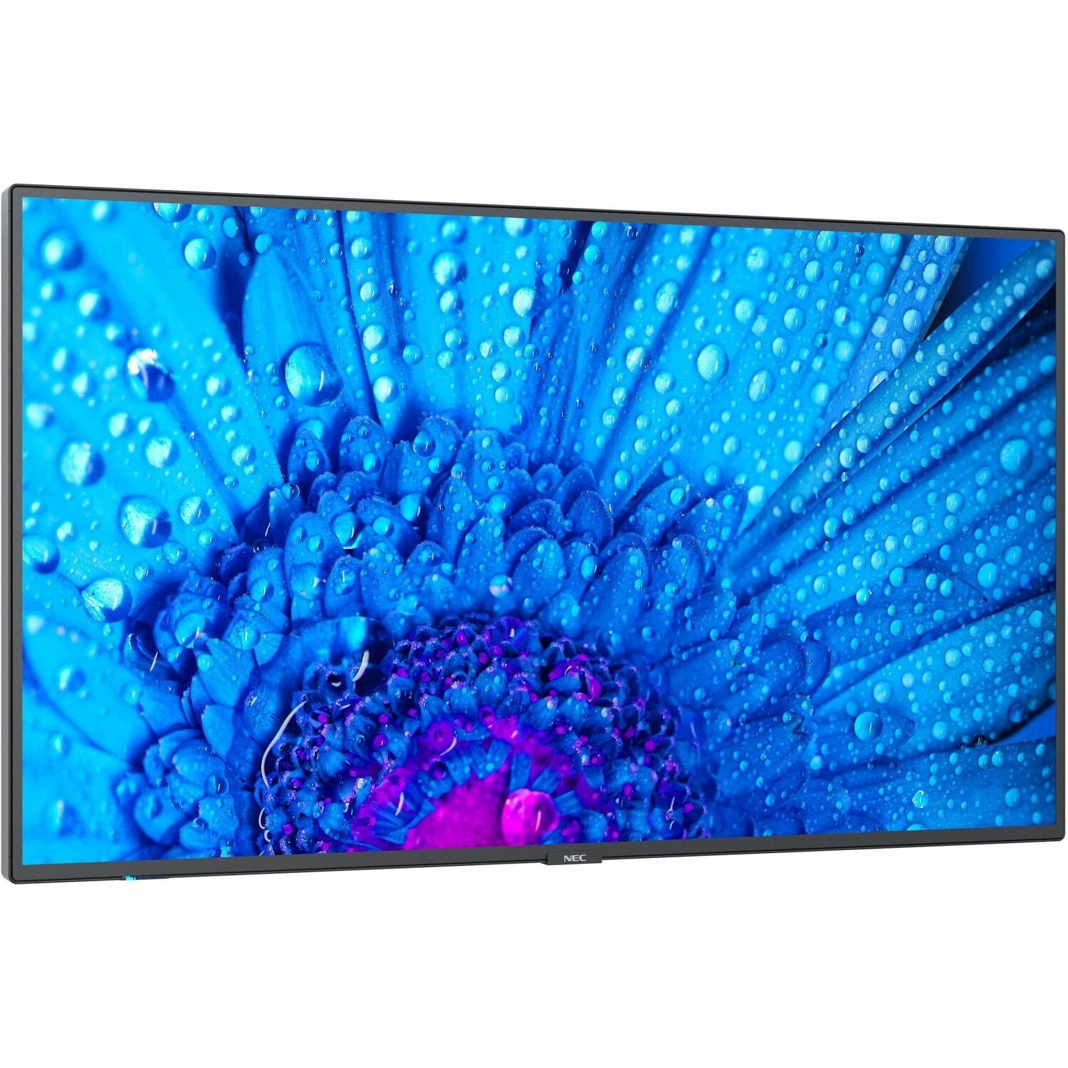 Sharp NEC Display MultiSync M751 75" LCD Digital Signage Display - 24 Hours/7 Days Operation - Energy Star