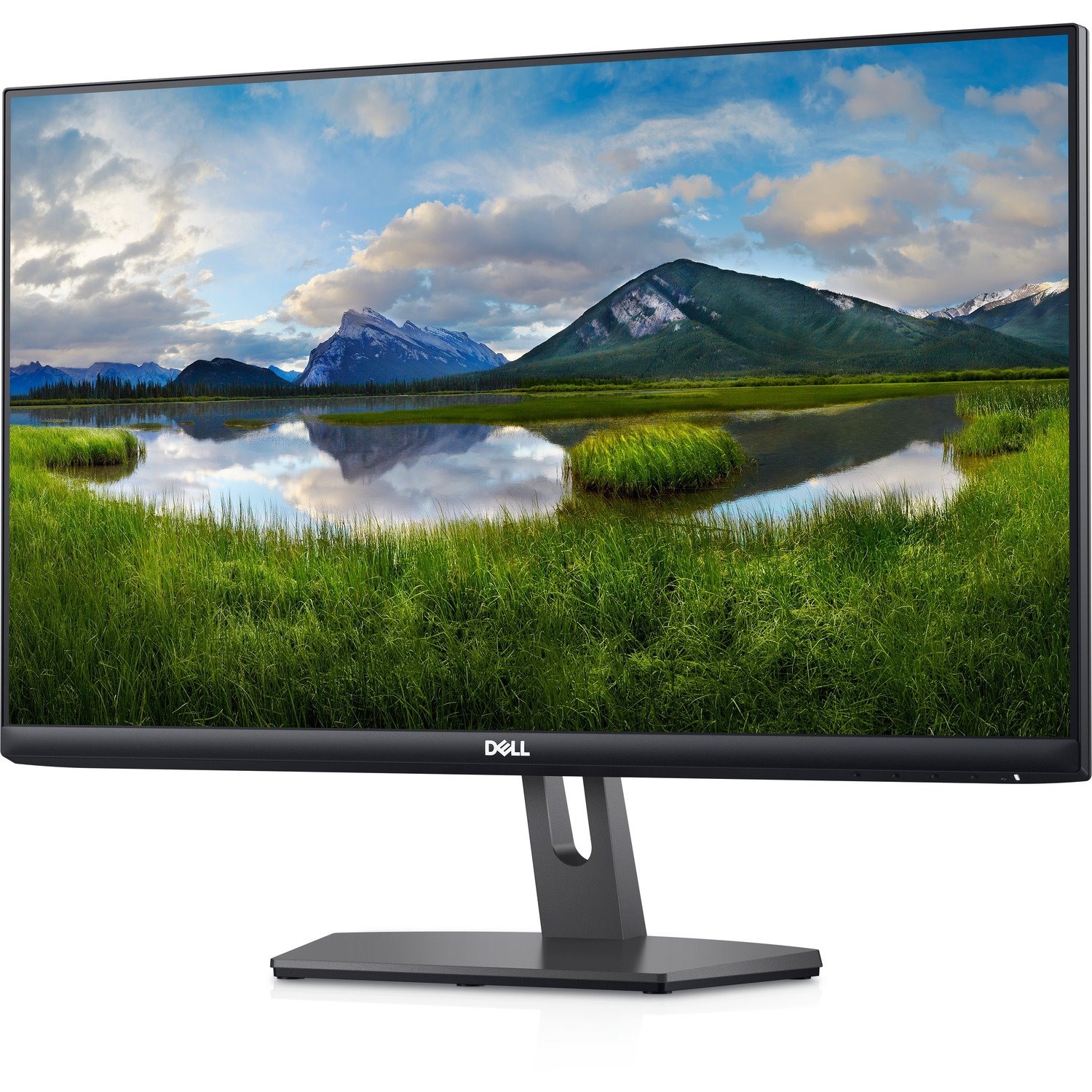 Dell S2421NX 24" Class Full HD LCD Monitor - 16:9