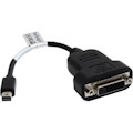 StarTech.com Mini DisplayPort to DVI Active Adapter