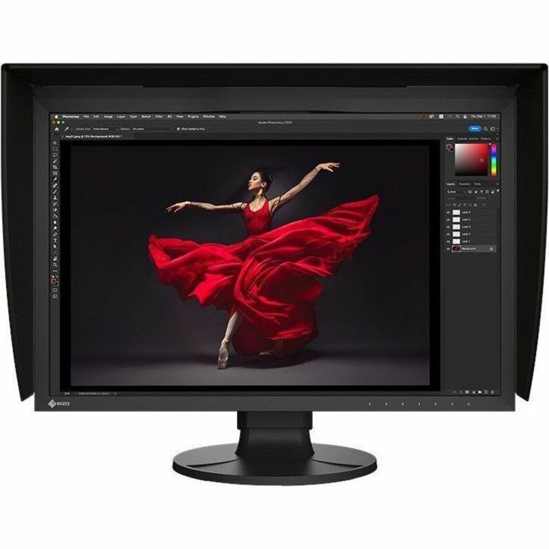 Eizo Eizo ColorEdge CG2400S Ips