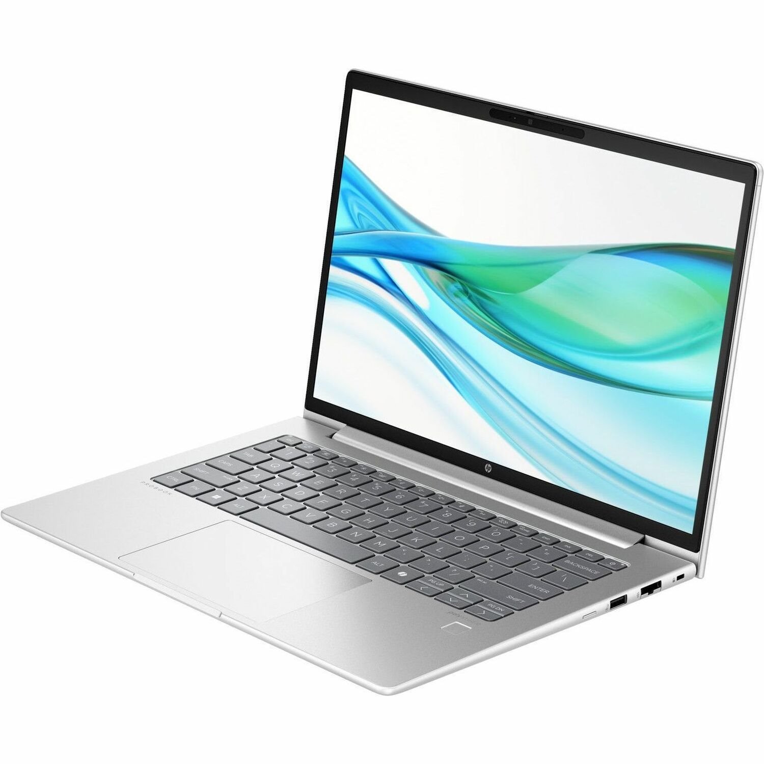 HP ProBook 440 G11 14" Notebook - WUXGA - Intel Core Ultra 5 125U - 16 GB - 256 GB SSD - English Keyboard - Pike Silver