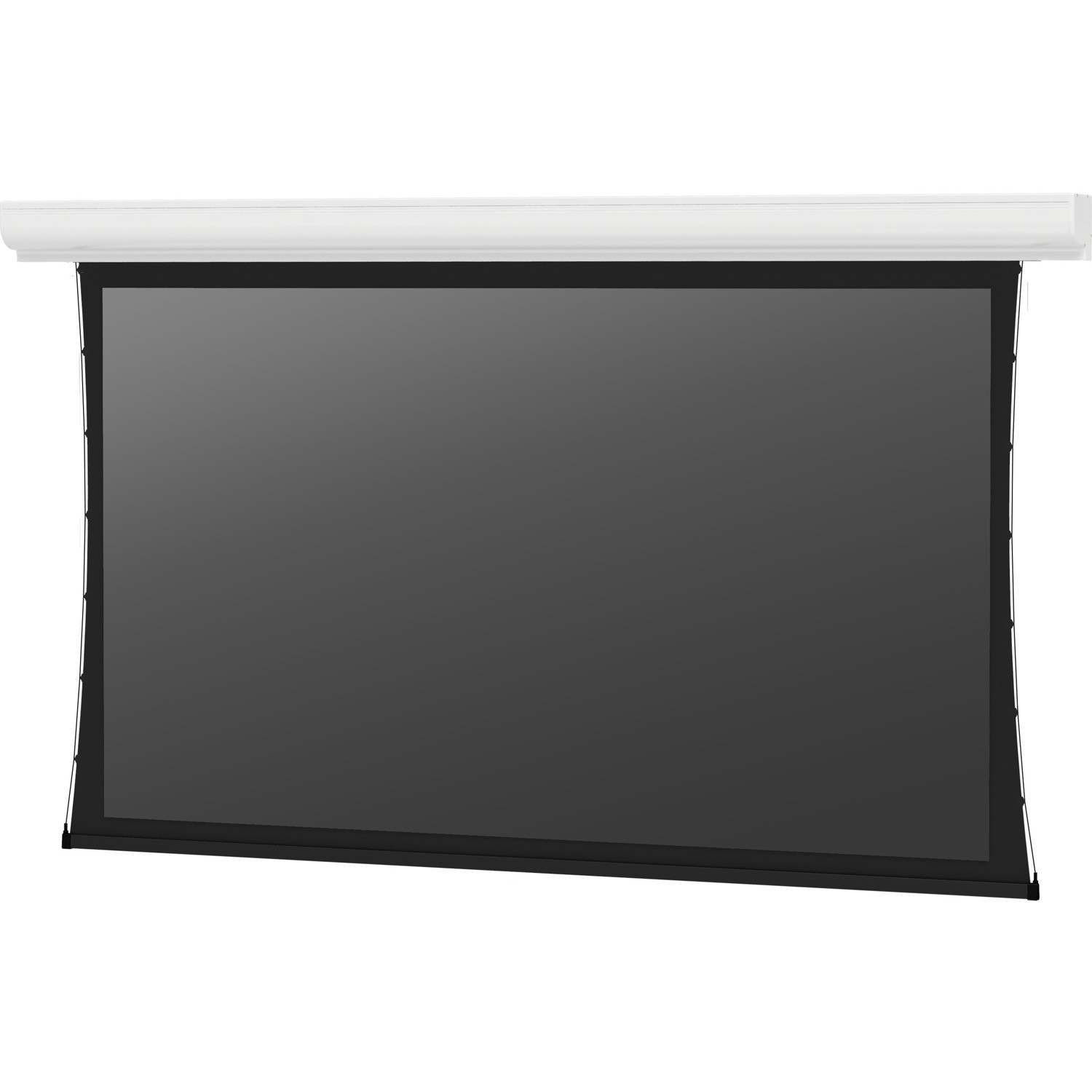 Da-Lite Tensioned Contour Electrol 164" Electric Projection Screen