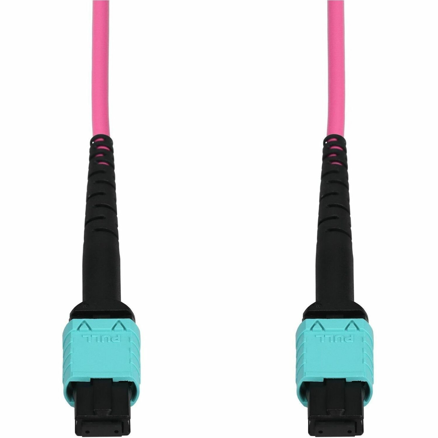 Proline 5m MPO/UPC to MPO/UPC Magenta OM4 OFNR (Riser-Rated) 12-Strand Fiber Patch Cable