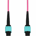 Proline 5m MPO/UPC to MPO/UPC Magenta OM4 OFNR (Riser-Rated) 12-Strand Fiber Patch Cable