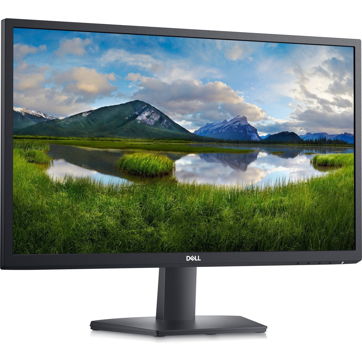 Dell SE2422H 24" Class Full HD LCD Monitor - 16:9