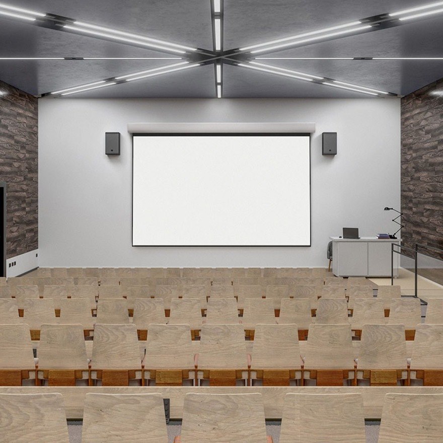 Draper Acumen XL E 165" Projection Screen