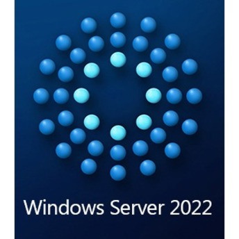 Microsoft Windows Server 2022 - License - 5 User CAL