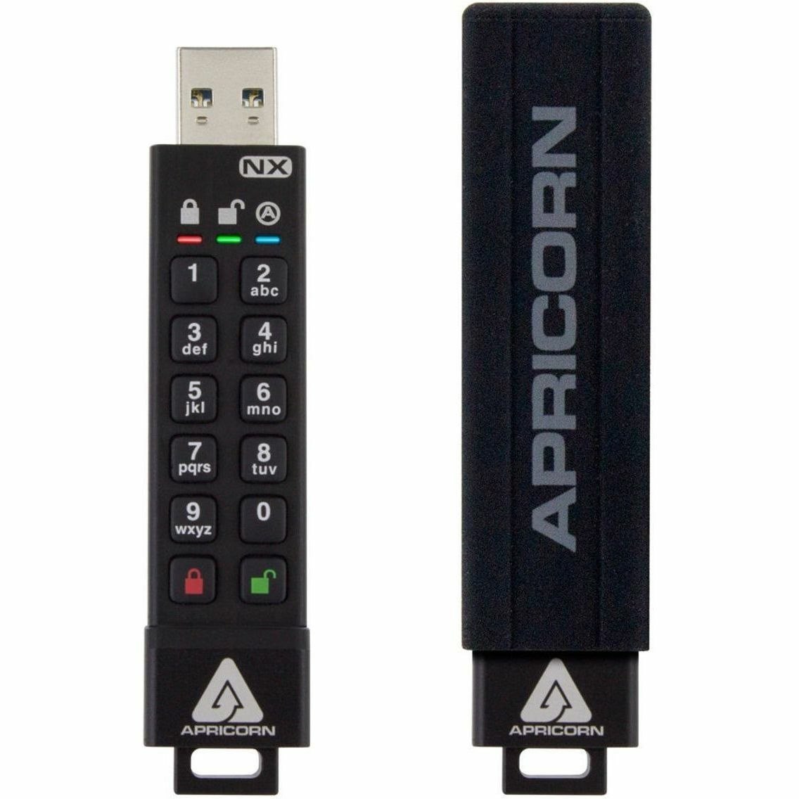 Apricorn Aegis Secure Key 3NX 256GB USB 3.2 (Gen 1) Flash Drive