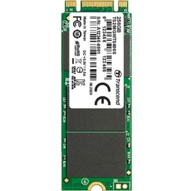 Transcend 600S 256 GB Solid State Drive - M.2 2260 Internal - SATA (SATA/600)