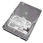 IBM 300 GB Hard Drive - 3.5" Internal - SAS (6Gb/s SAS)