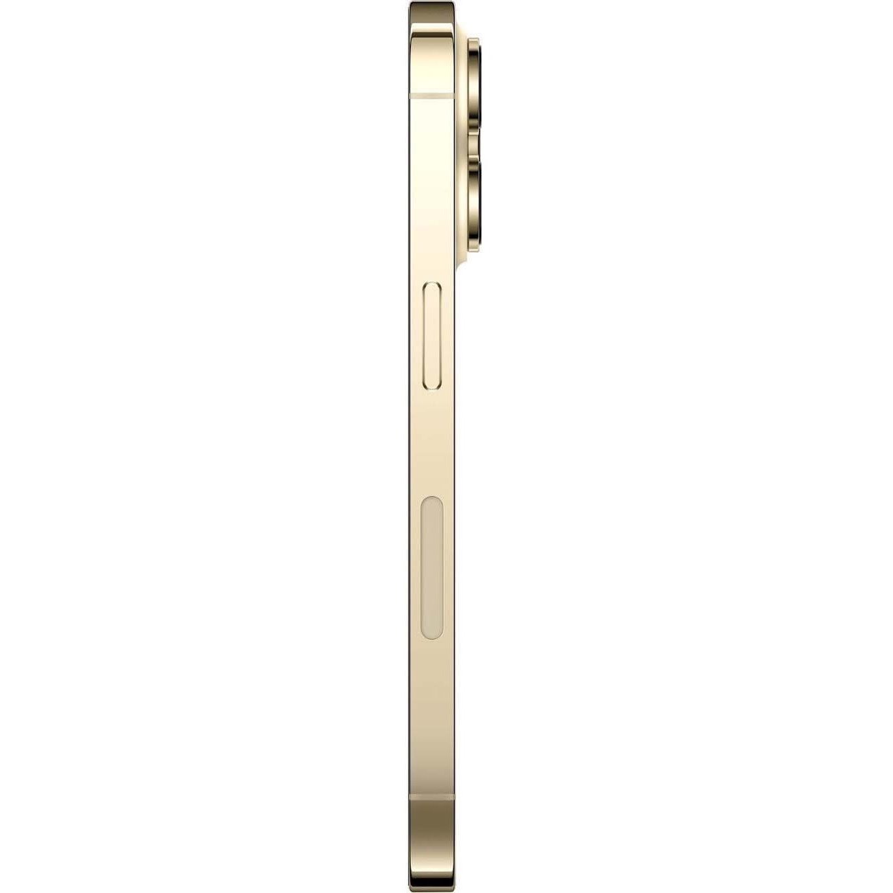 Apple iPhone 14 Pro A2890 1 TB Smartphone - 6.1" OLED 2556 x 1179 - Hexa-core (AvalancheDual-core (2 Core) 3.46 GHz + Blizzard Quad-core (4 Core) - 6 GB RAM - iOS 16 - 5G - Gold