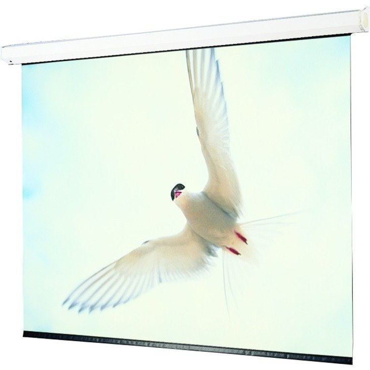 Draper Targa 237" Electric Projection Screen