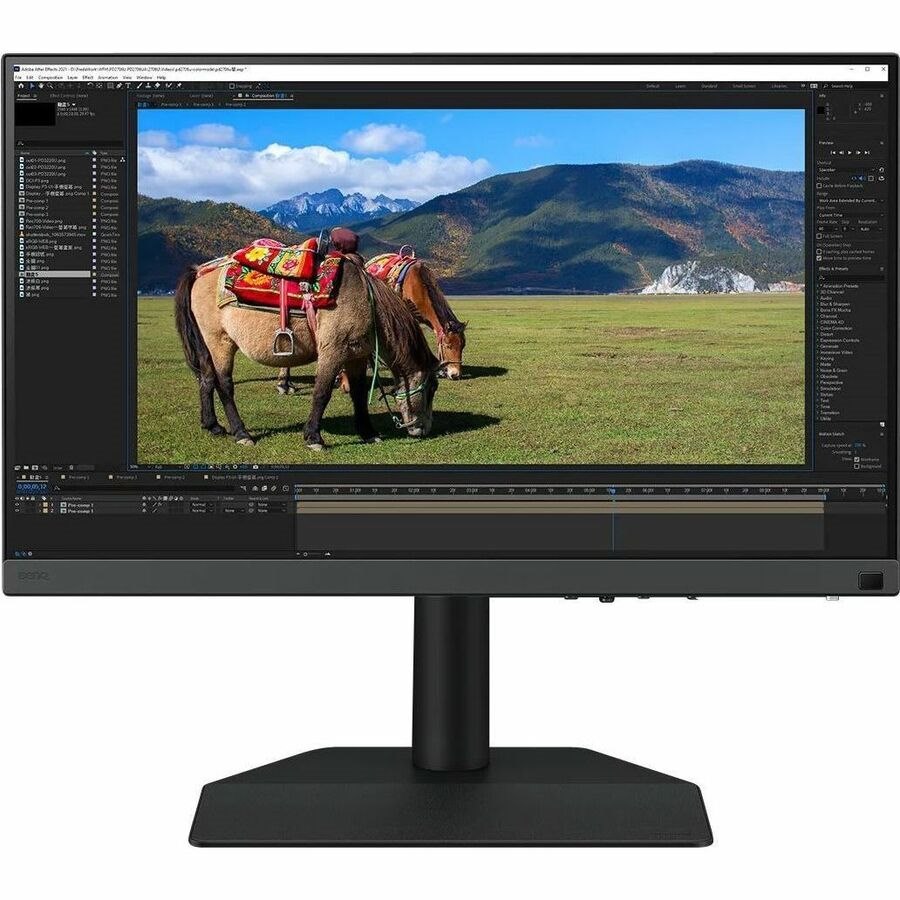 BenQ Photographer SW242Q 24" Class WQXGA LED Monitor - 16:10
