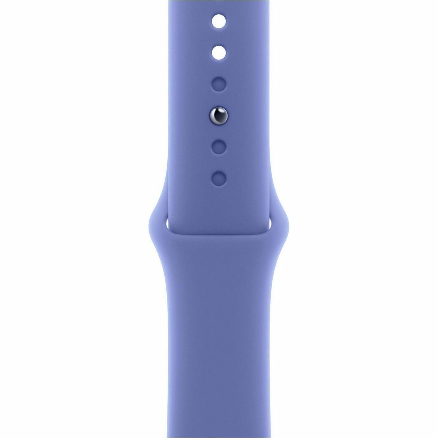 Apple Adjustable Smartwatch Band