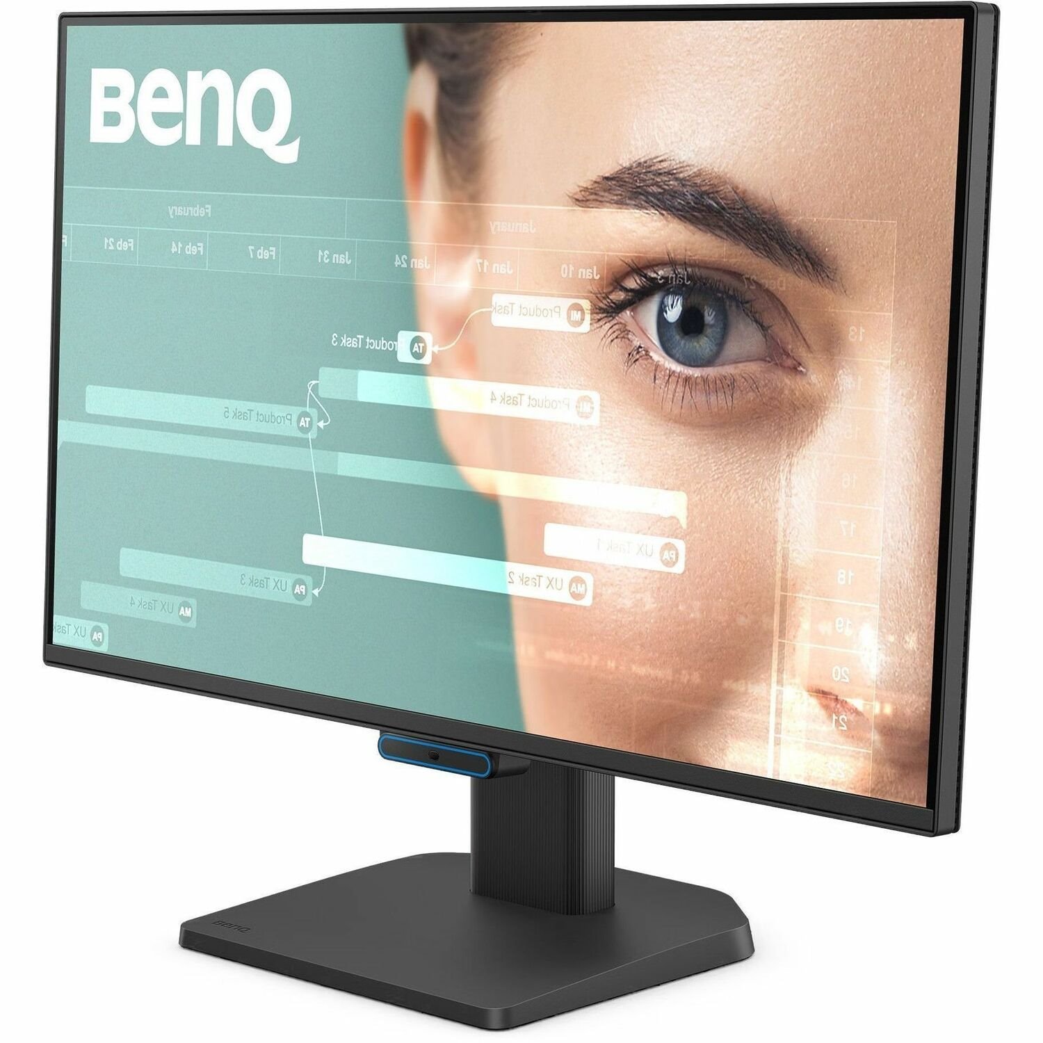 BenQ GW2490C 24" Class Full HD LED Monitor - 16:9