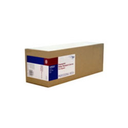 Epson C13S042013 Inkjet Canvas