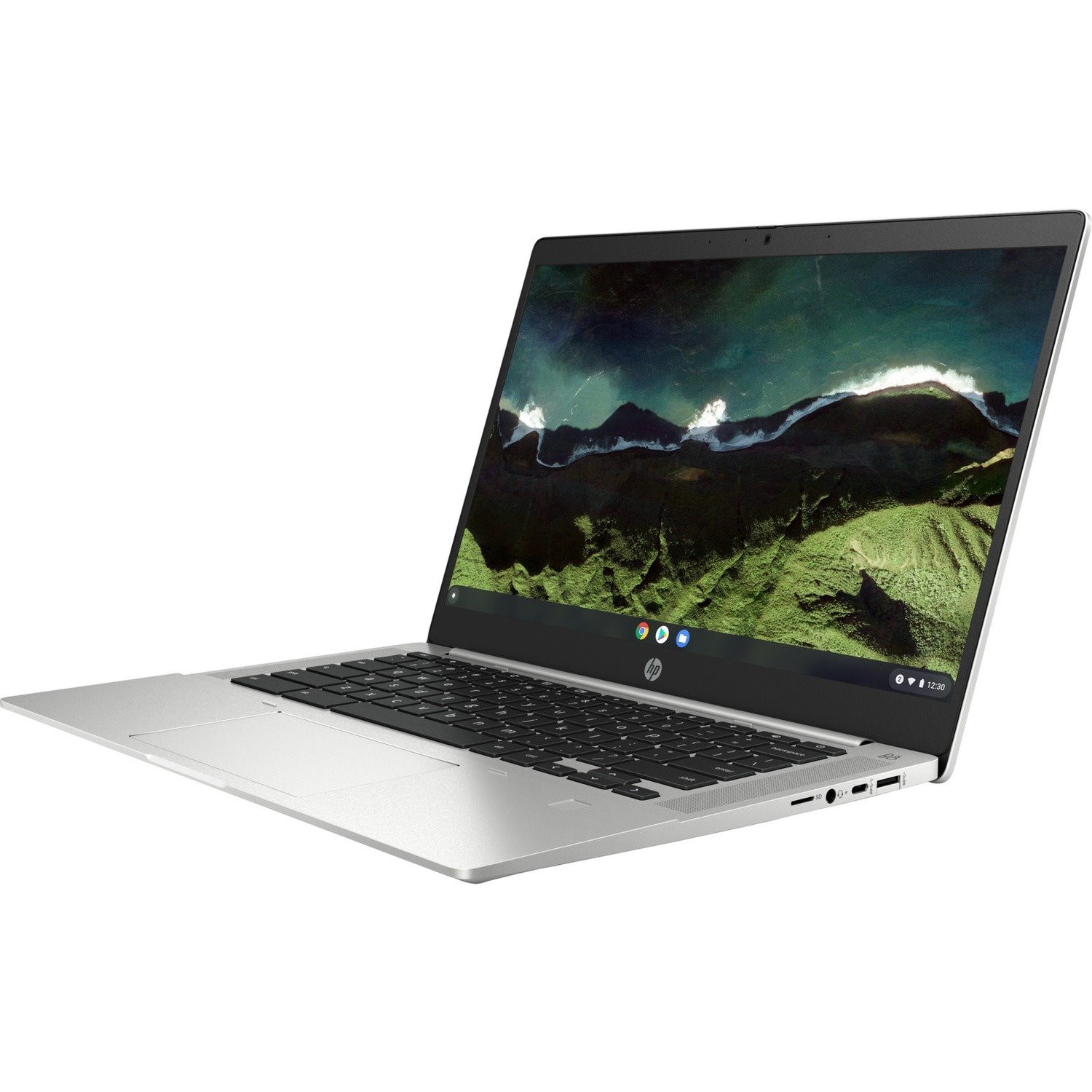 HP Pro c640 G2 Chromebook Enterprise 14" Chromebook - HD - Intel Celeron 6305 - 8 GB - 64 GB Flash Memory - Pike Silver Aluminum