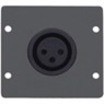 Kramer Wall Plate Insert - XLR (F)