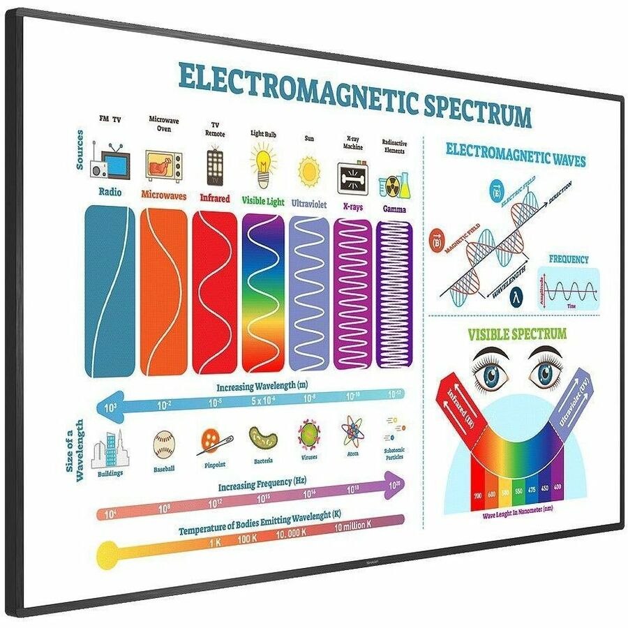 Sharp NEC Display 80" Class AQUOS BOARD