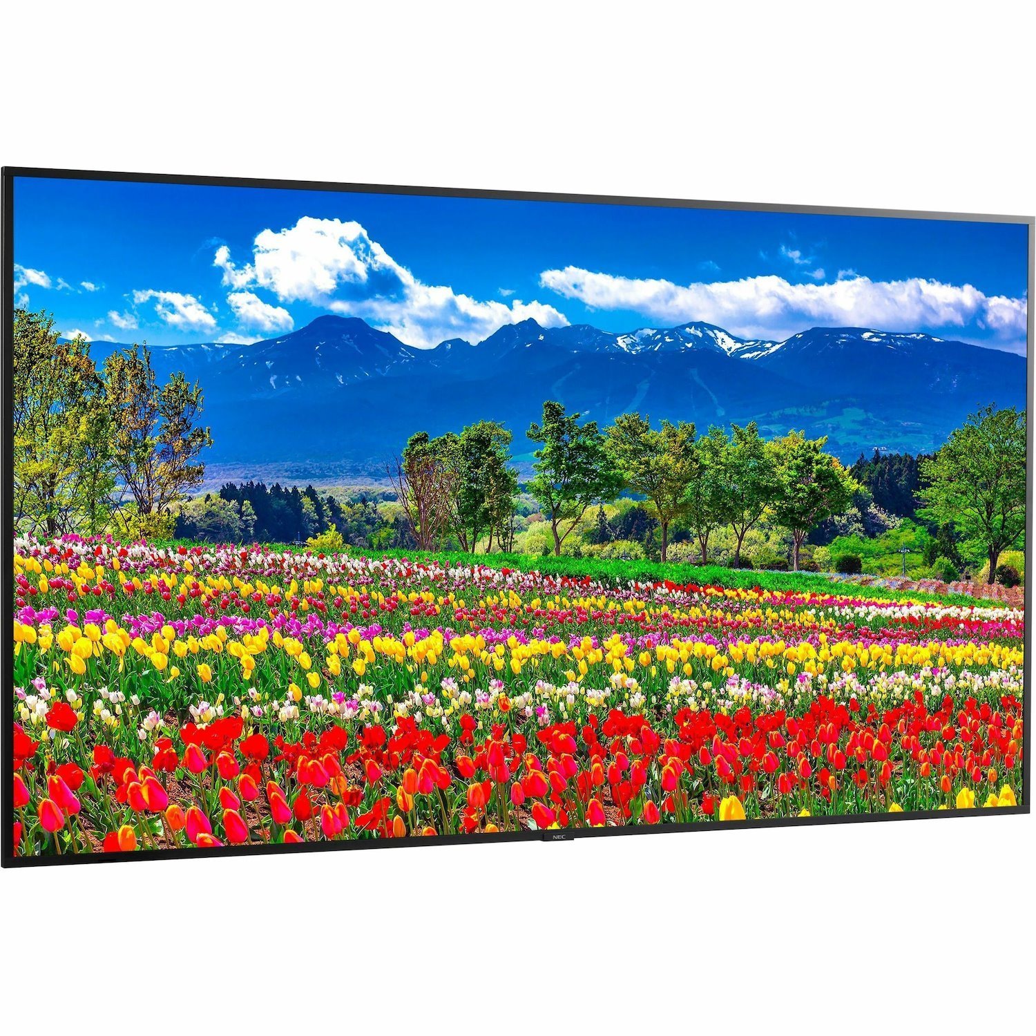 Sharp NEC Display 75" Ultra High Definition Professional Display