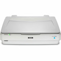 Epson Expression 13000XL Flatbed/Film Scanner - 2400 dpi Optical