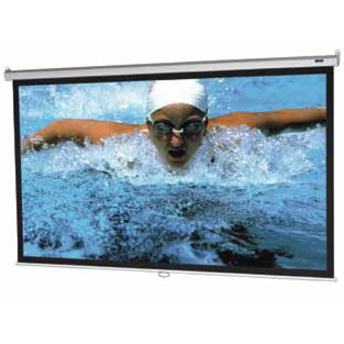 Da-Lite Model B 33422 101" Manual Projection Screen