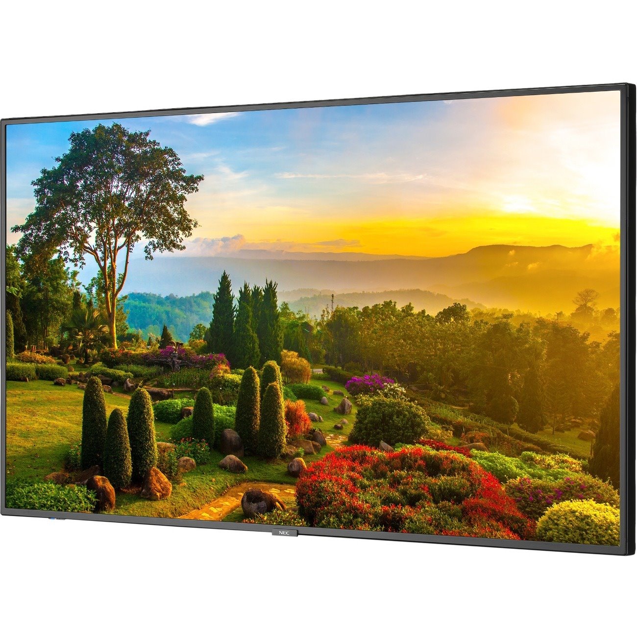 NEC Display M551-MPI4E Digital Signage Display