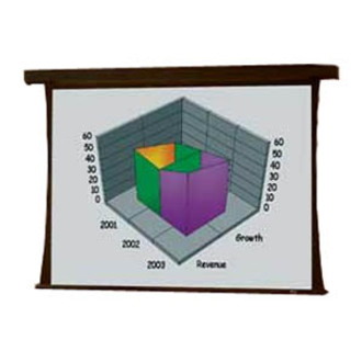 Draper Premier Electrol Projection Screen
