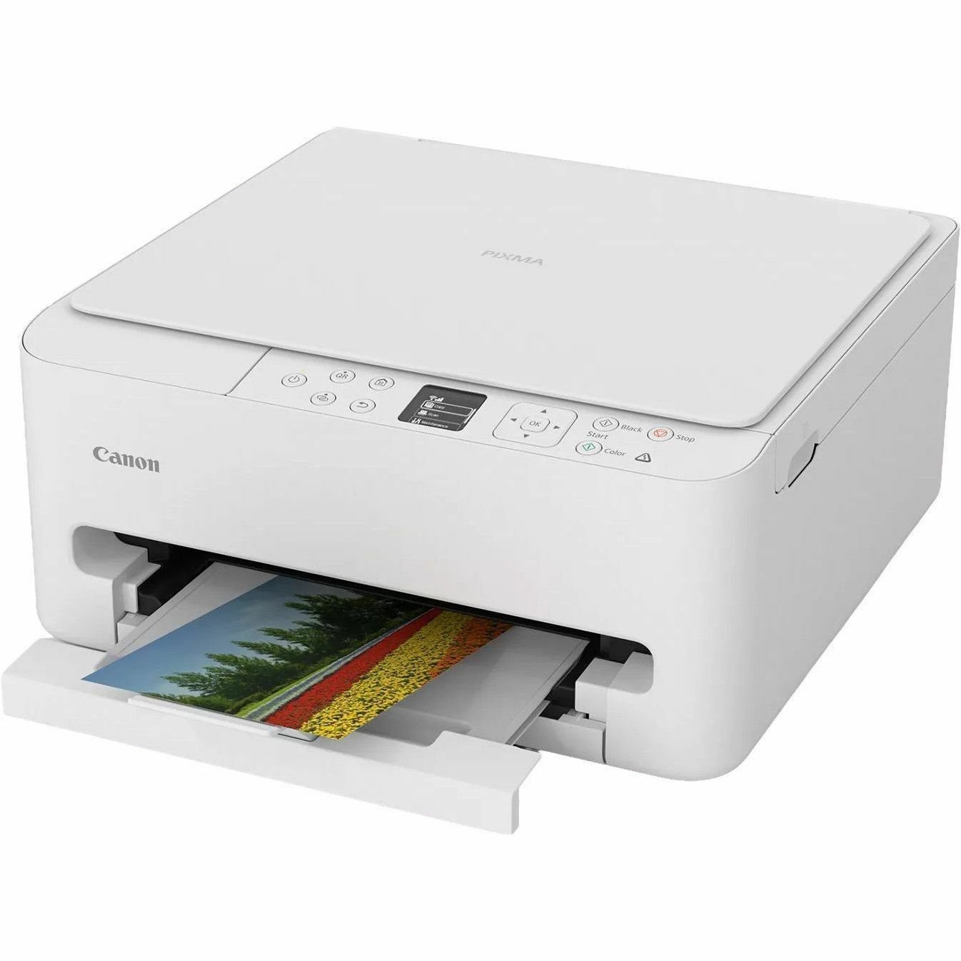 Canon PIXMA TS6520 Wired & Wireless Inkjet Multifunction Printer - Color
